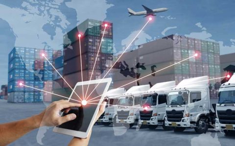 Tecnico-en-exportacion-desarrollando-su-trabajo